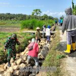 Kerja Bakti Pembangunan Rehabilitasi Prasarana Bangket Jalan di Bulak Sawah Dobangsan