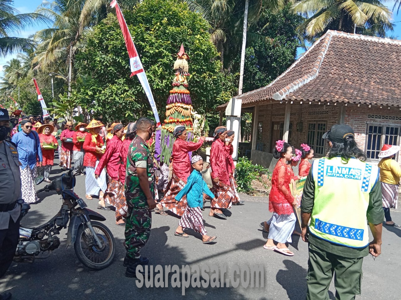 Wiwitan Agung Panen Bawang Merah di Bulak Sawah Pedukuhan Kriyan