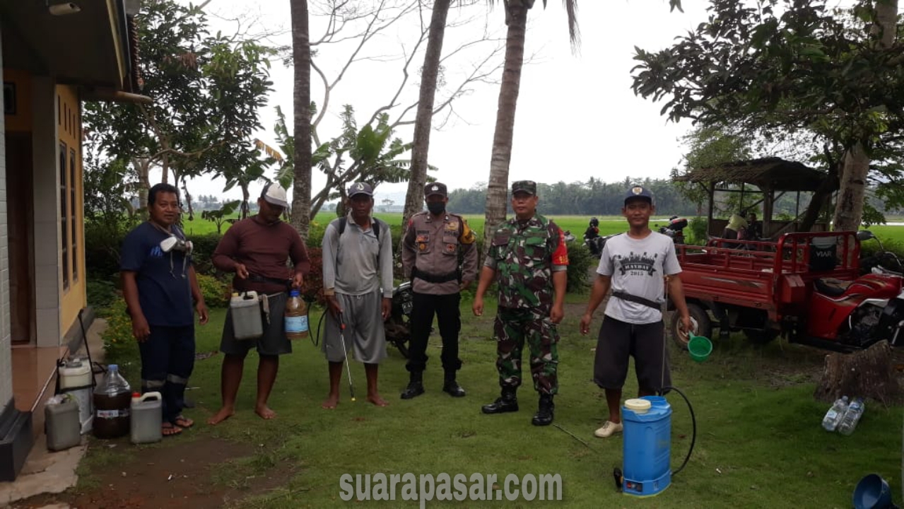 Sebagai Upaya Peningkatan Hasil Panen, Babinsa Plumbon Laksanakan Pendampingan Gerdal Jamur Dan Hama