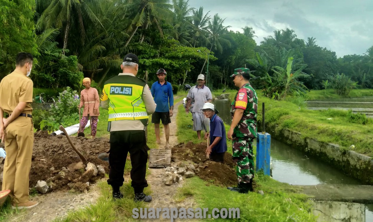 Babinsa Bumirejo Melaksanakan Pengecekan Perbaikan Irigasi di Area Persawahan Pedukuhan Ngipik Bumirejo Lendah