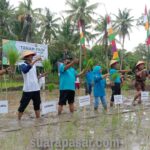 Bati Komsos Koramil Sentolo Hadiri Tutup Tanam Perdana Cetak Sawah Baru