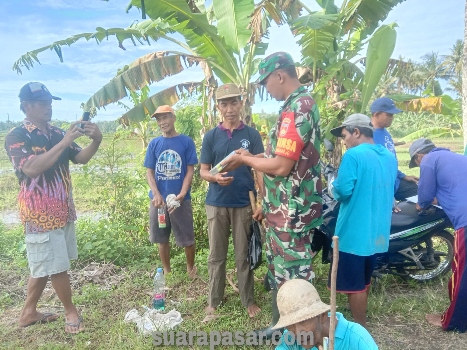 Babinsa Tanjungharjo Dampingi Poktan Dalam Gerdal Hama Tikus di Bulak Sawah Gede Klajuran