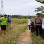 Babinsa Plumbon Dampingi Kegiatan Pengukuran Jalan Usaha Tani