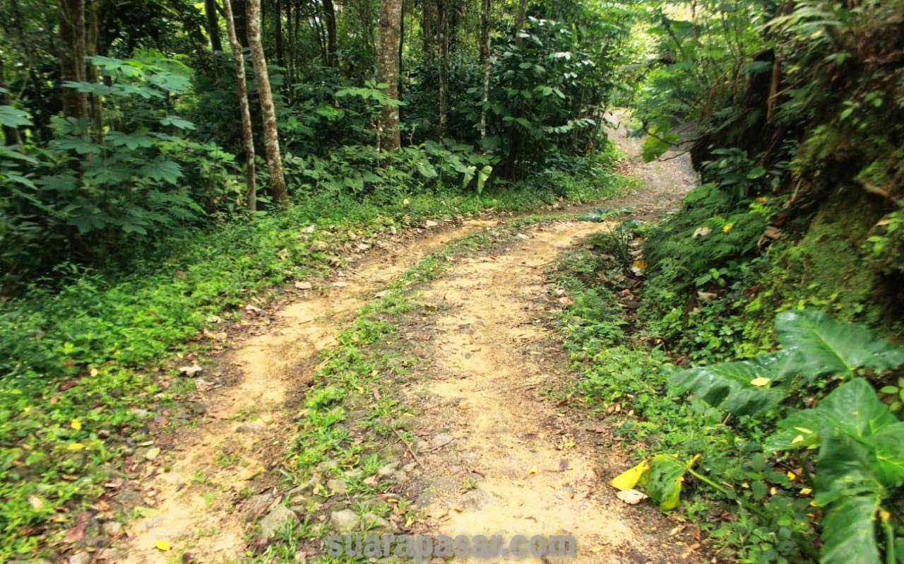 Operasi TMMD Reguler Ke-117 Kabupaten Kulon Progo Perkeras Jalan Padukuhan Ngaliyan Gunung A dan Tulangan