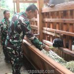 Dan Satgas TMMD Reguler 117 Kodim 0731/Kulon Progo Tinjau Peternakan Kambing Etawa Milik Warga Ngargosari