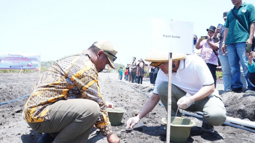 Hemat Biaya Hingga 70%, Bantul Buka Lahan Baru Bawang Merah Teknologi Electrifying Agriculture di Poncosari, Srandakan