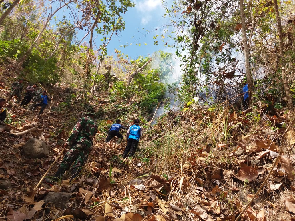 Sebagian Wilayah DIY Status AWAS Kekeringan, Stasiun Klimatologi ...