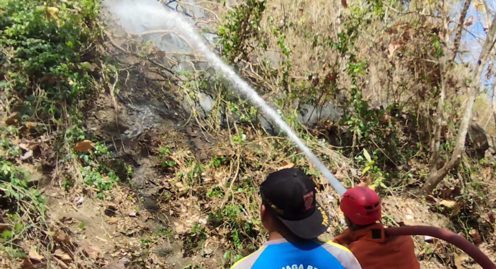 Tim Gabungan Berhasil Padamkan Kebakaran Lahan Di Kluwih Pendoworejo Girimulyo