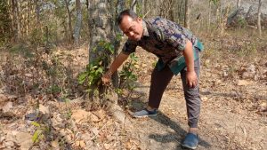 Foto : Huda Triyudiana, Wakil Ketua DPRD DIY mengecek kondisi sumur bor yang dibangun pemerintah di Gunungkidul, Minggu, 24/9/2023 (istimewa)