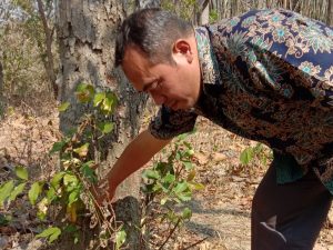 Huda Triyudiana, Wakil Ketua DPRD DIY mengecek kondisi sumur bor yang dibangun pemerintah di Gunungkidul, Minggu, 24/9/2023