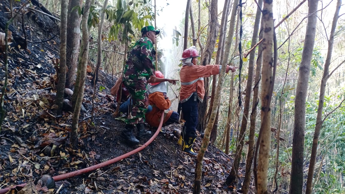 Babinsa Banjaroyo Bantu Pemadaman Kebakaran Lahan di Bantaran Sungai Progo Slanden