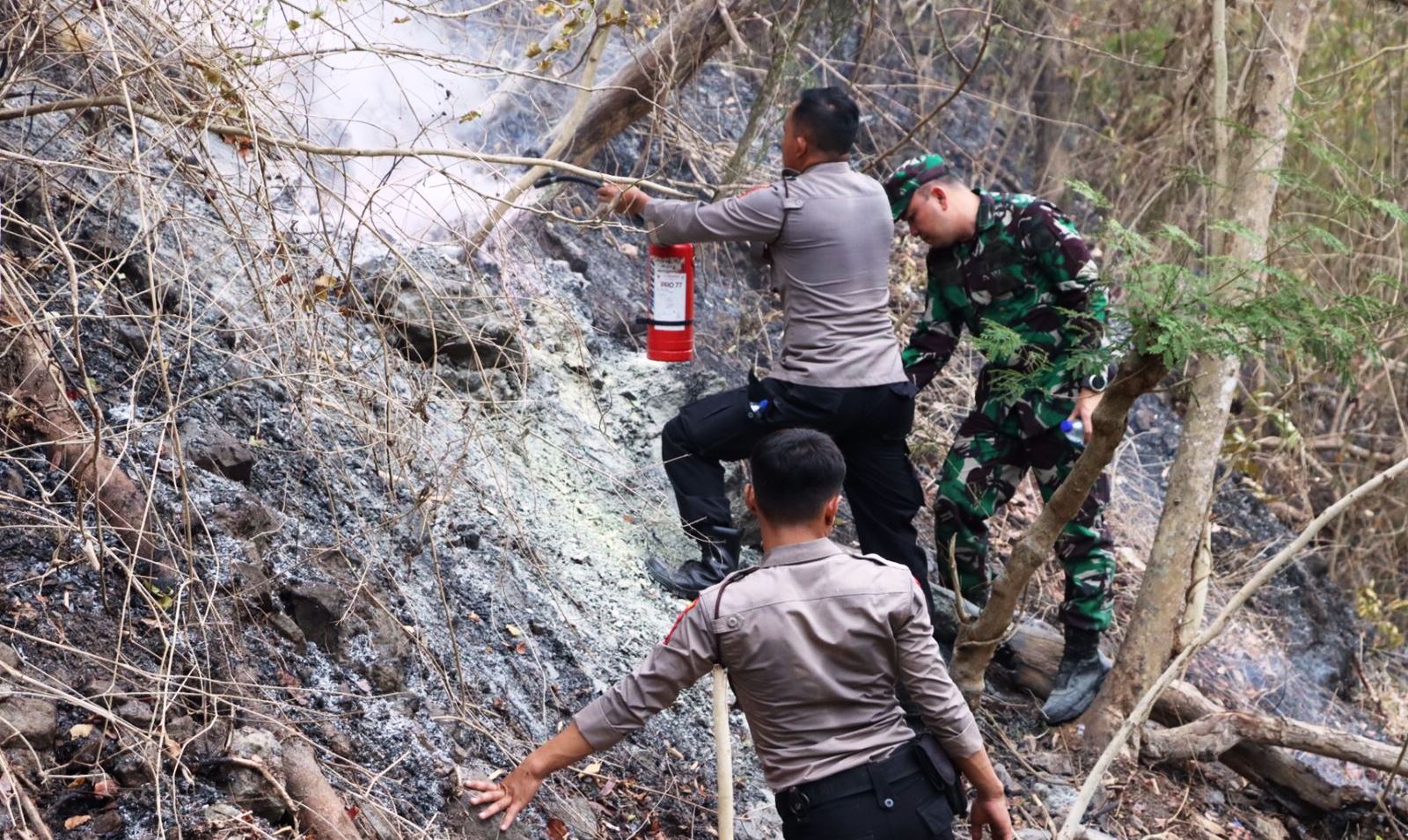 Dandim Bersama Kapolres Kulon Progo Tinjau Lokasi Kebakaran Hutan di Wilayah Hargorejo Kokap