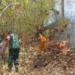 Babinsa Hargomulyo Bersama Warga dan Relawan Laksanakan Pemadaman Kebakaran Lahan