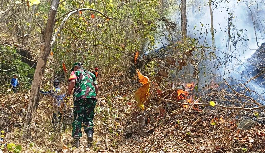 Babinsa Hargomulyo Bersama Warga dan Relawan Laksanakan Pemadaman Kebakaran Lahan