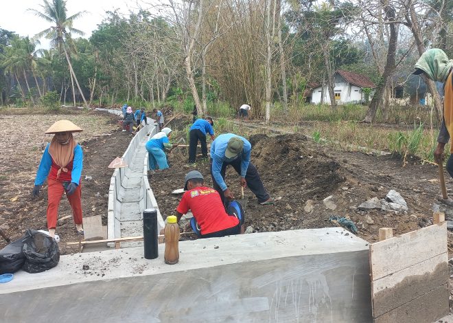 Saluran Irigasi Rampung, Petani Karangasem Kedungsari Pengasih Siap Awali Musim Tanam