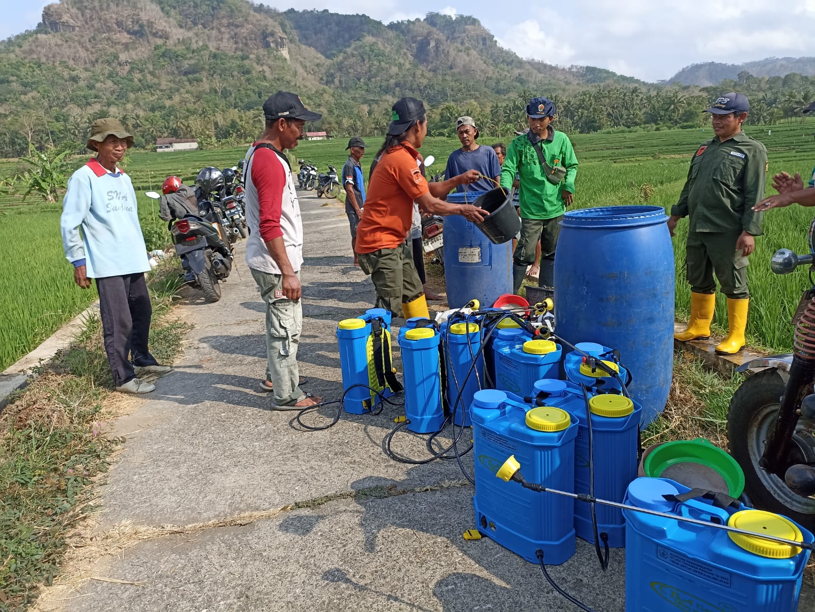 Babinsa Banjararum Laksanakan Gerdal OPT Tanaman Padi