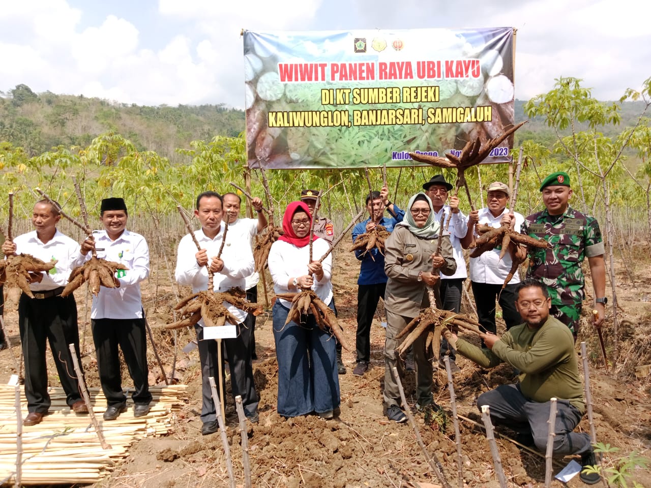 Wiwitan Panen Ubi Kayu di Banjarsari Samigaluh Kulon Progo