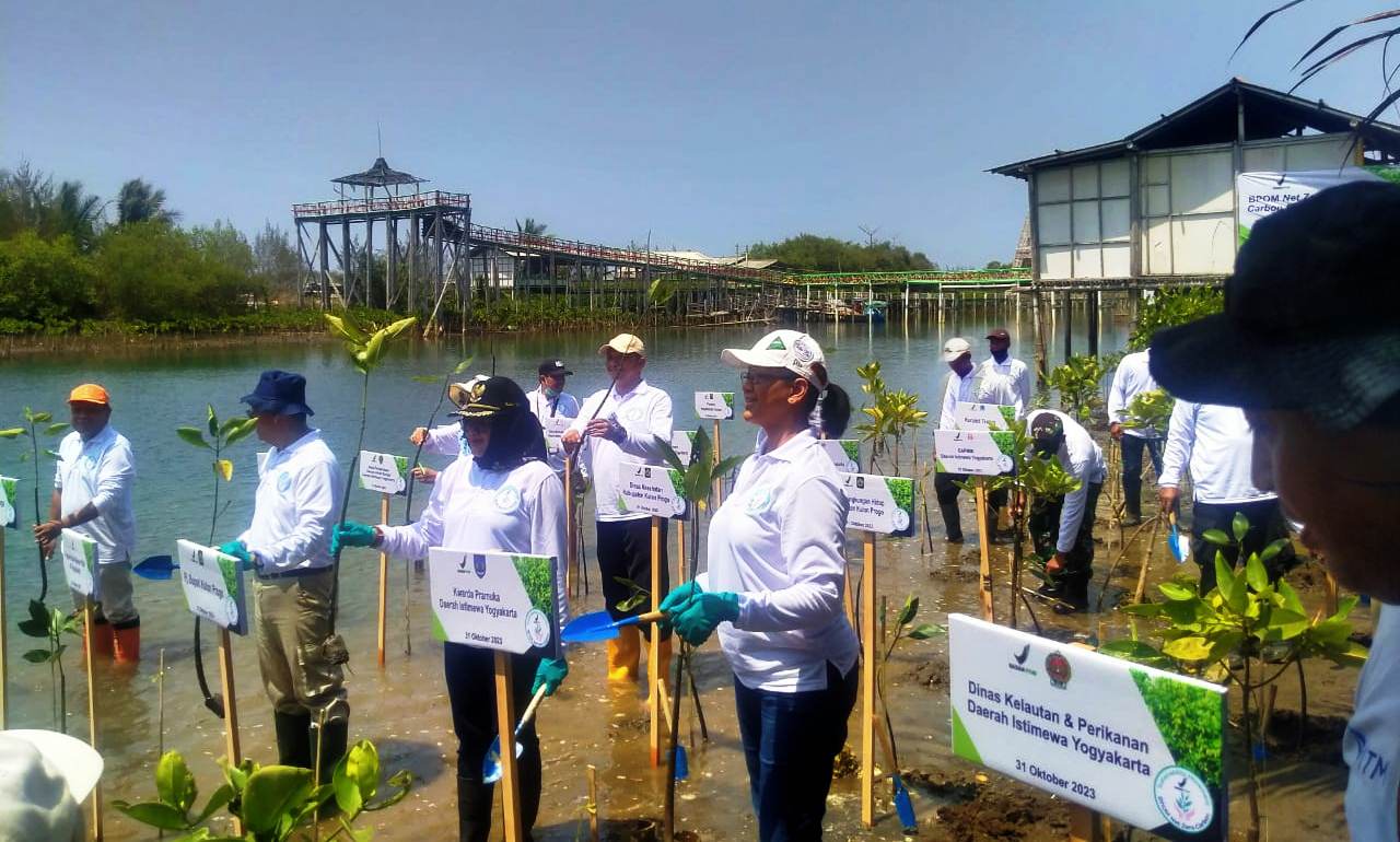 Anggota Koramil Temon Mengikuti Penanaman Mangrove dan Pelepasan Tukik