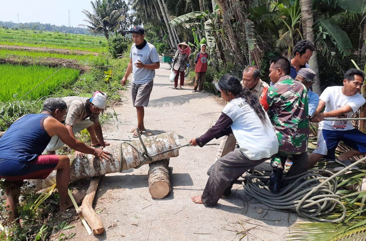 Babinsa Pleret Bersama Warga Evakuasi Pohon Kelapa Tumbang