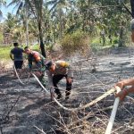 Babinsa Karangsewu Bantu Pemadaman Kebakaran Lahan Pertanian