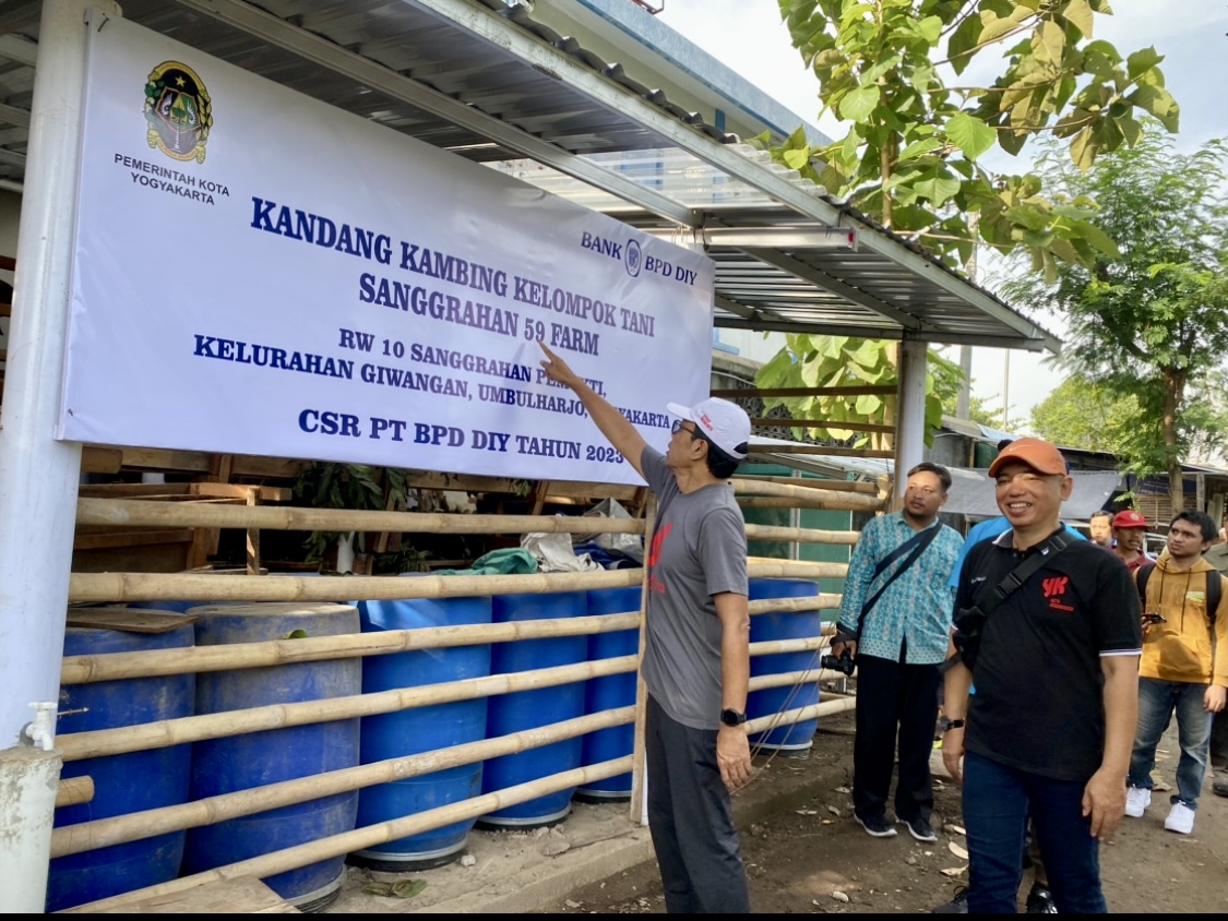 TSLP BPD DIY Dukung Kelompok Tani Sanggrahan Kembangkan Usaha Ternak Kambing, Lele, Maggot