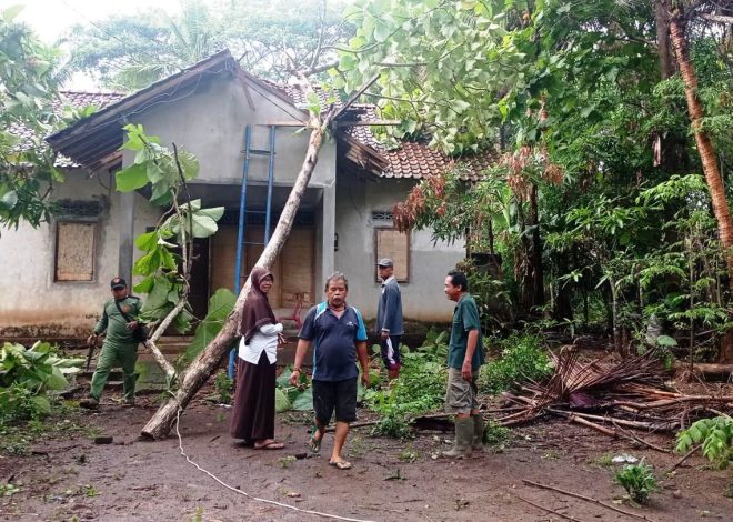 Babinsa Salamrejo Bersama Warga Evakuasi Pohon Tumbang