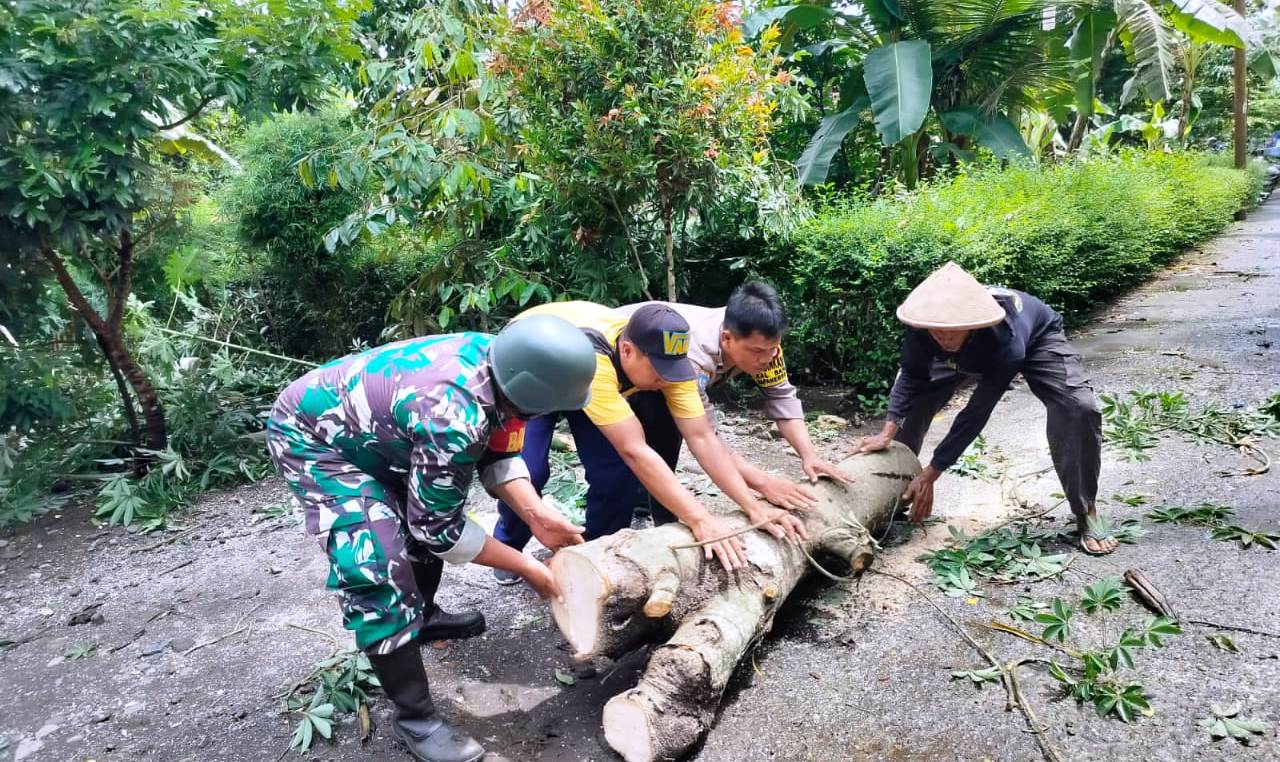 Babinsa Bersama Bhabinkamtibmas Pantau Wilayah Terkena Pohon Tumbang Paska Hujan Deras