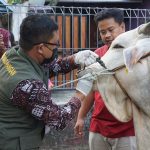 Dinas Pertanian dan Pangan Kota Yogyakarta Siap Pantau 400 Titik Penyembelihan Hewan Kurban