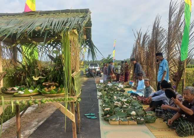 Bentuk Syukur Kepada Tuhan, Warga Ngestiharjo, Wates Gelar Wiwitan