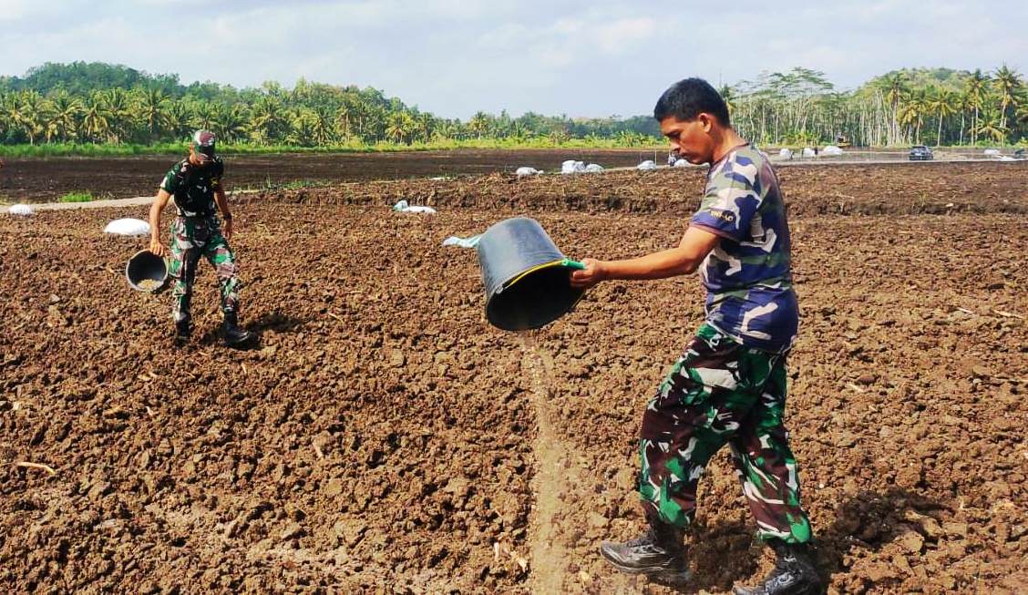 Anggota Kodim Kulon Progo Melanjutkan Penyiapan Lahan Cetak Sawah Baru