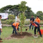 KAI Daop 6 Yogyakarta Tanam 60 Batang Pohon Secara Serentak di 8 Stasiun